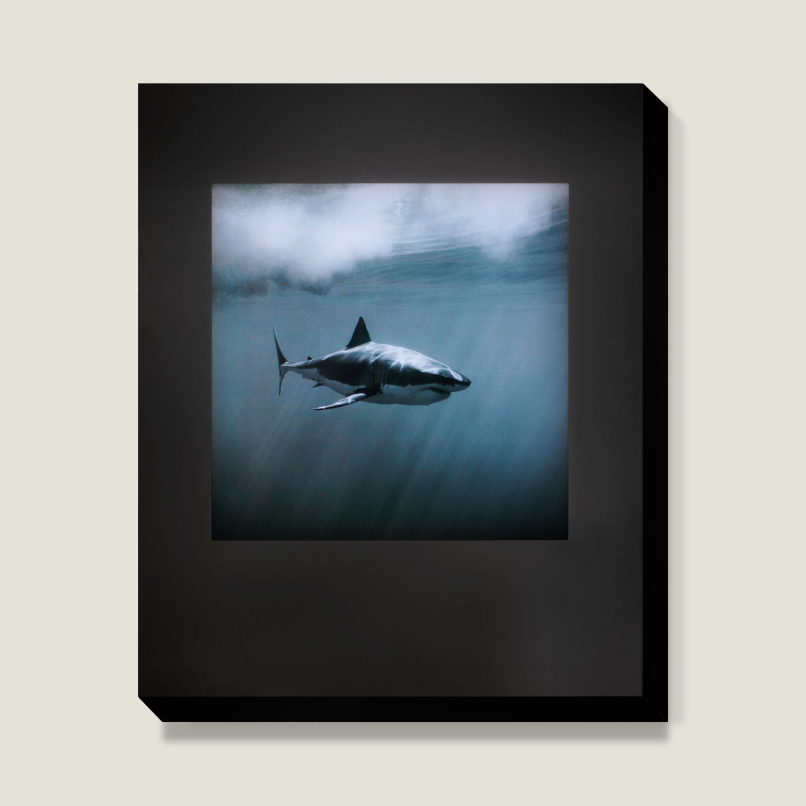 WHITE SHARK LIGHTBOX LARGE – GWP